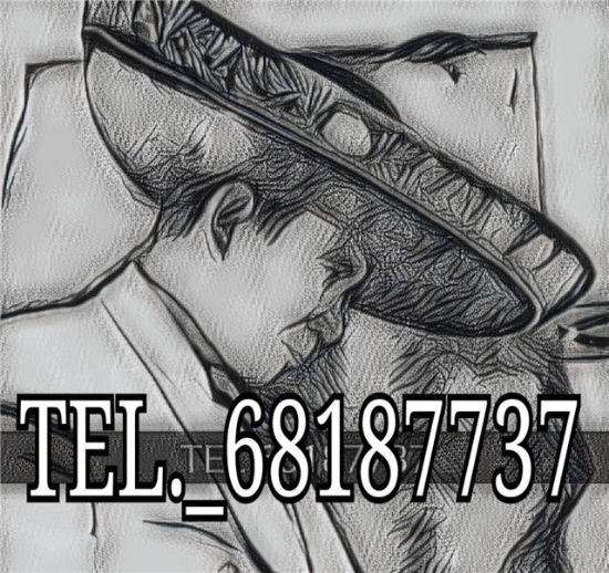 Imagen de MARIACHI TACOLOLOTE