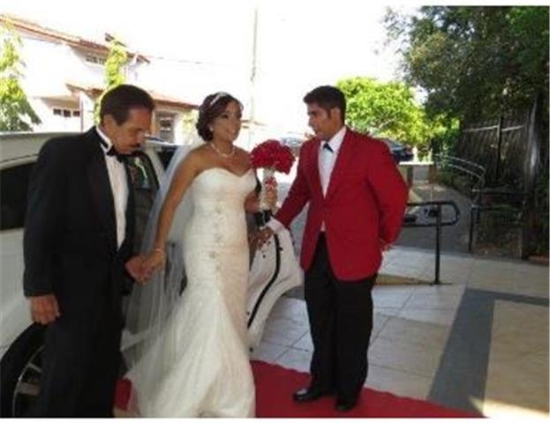 Imagen de PROMOCION PARA BODAS- LIMO TOURS