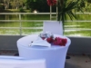 Picture of Paquete de Boda  GAMBOA RAINFOREST