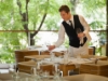 Picture of SALONEROS & WAITERS